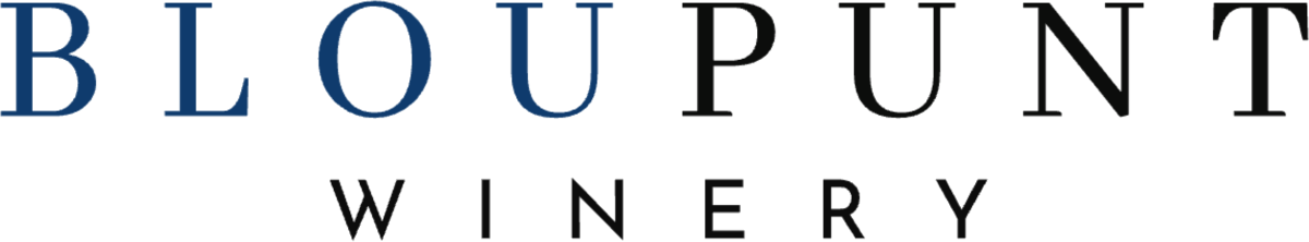 Bloupunt logo